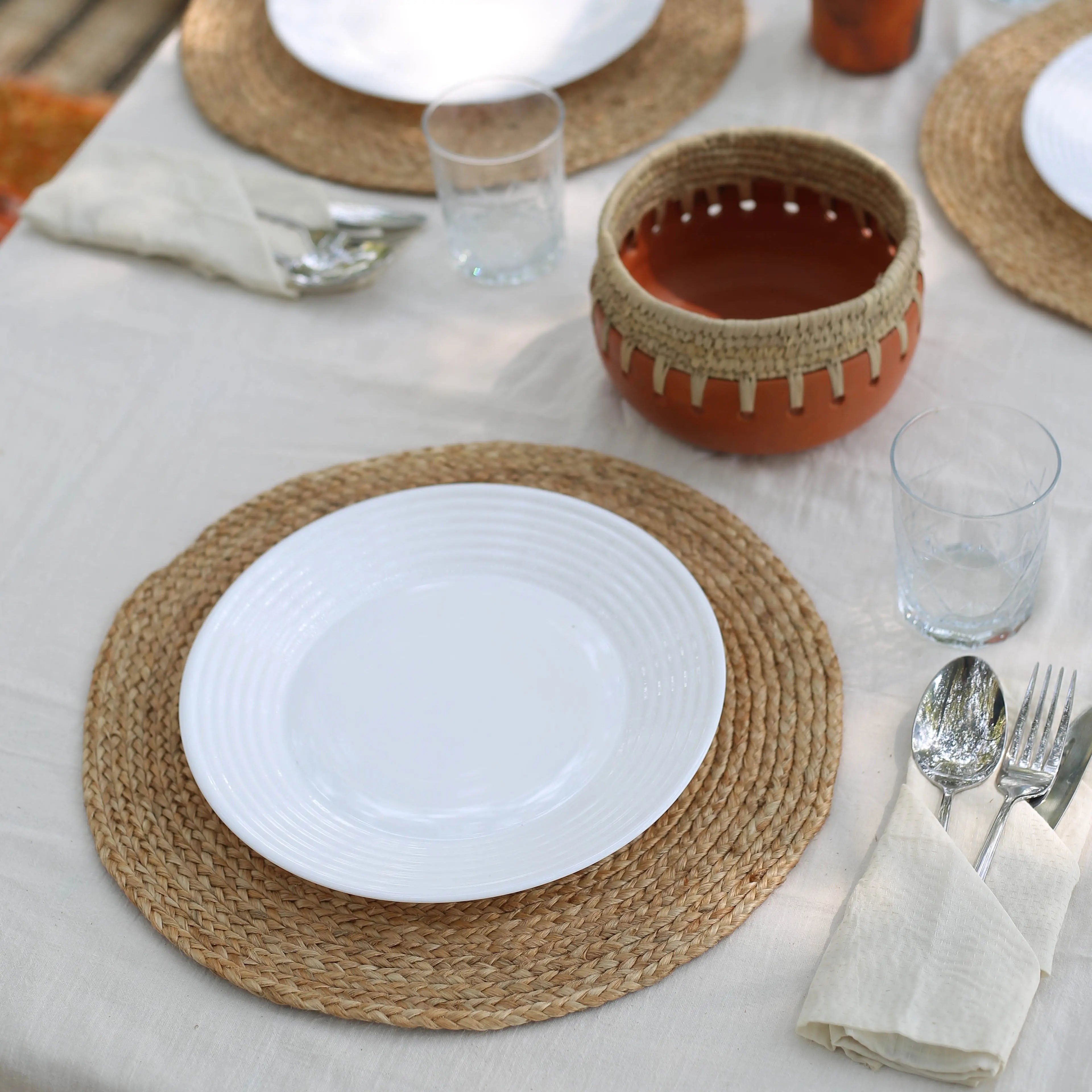 ECO Crave Classic braided Dining place mat | Set of 12 Eco Crave