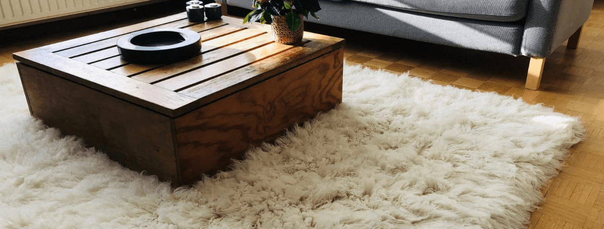 Are Wool Rugs Good for Pets? Find Out Here