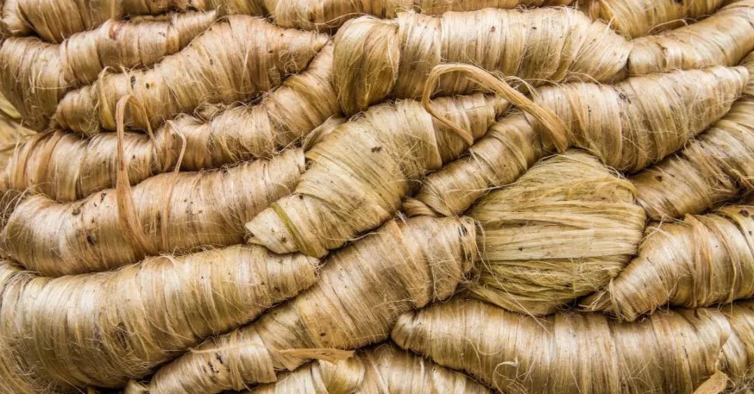 Are Jute Rugs Sustainable and Environmentally Safe?