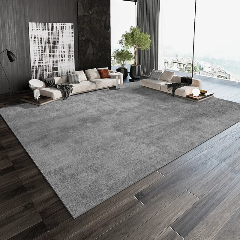 Nordic Casual Living Room rug for home decoration