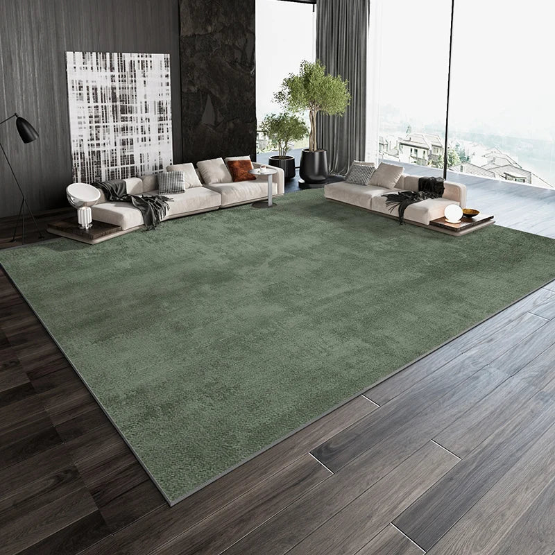 Nordic Casual Living Room rug for home decoration