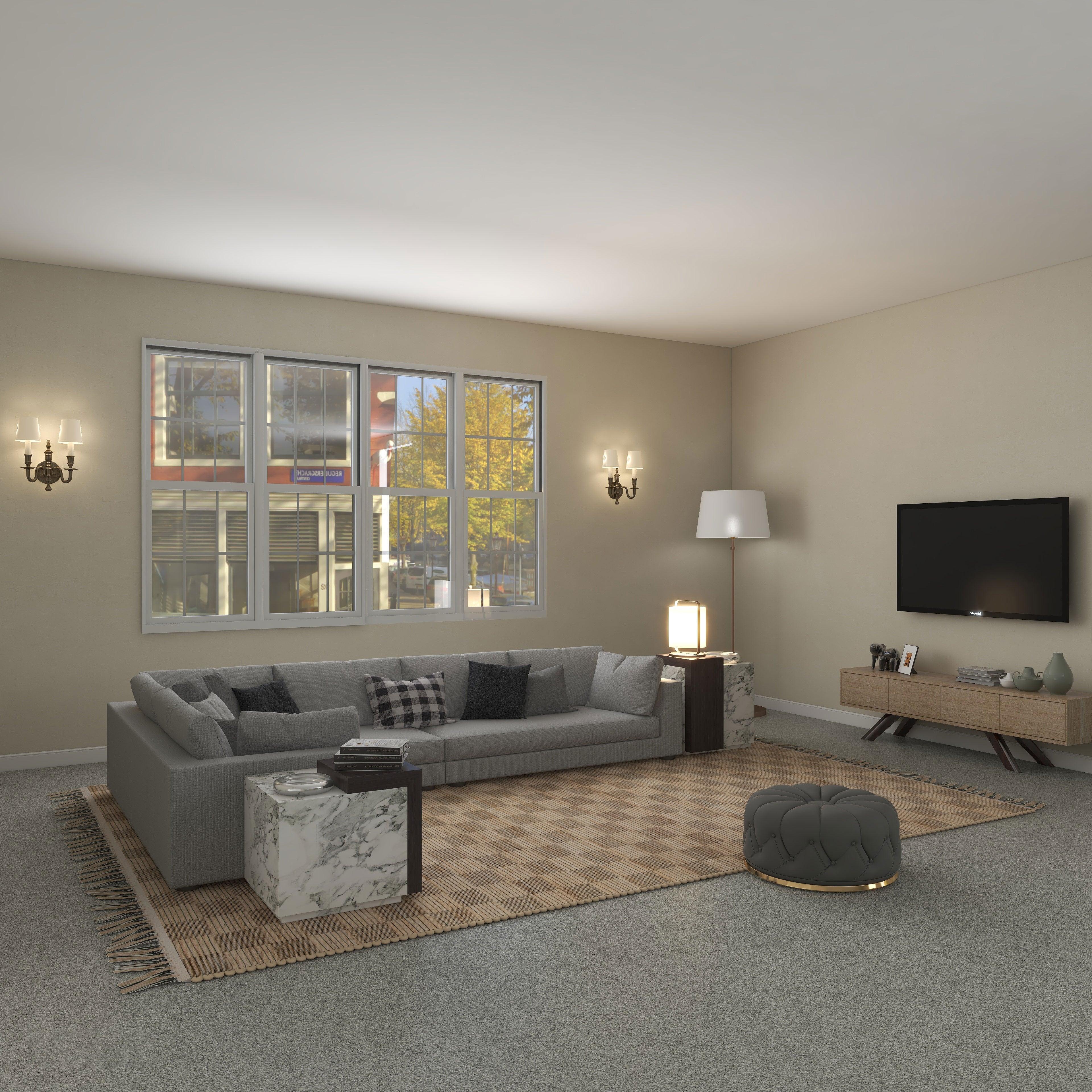 Area rug in a modern sofa room
